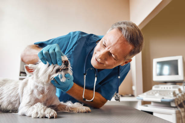 , SC Emergency Dental Service Company